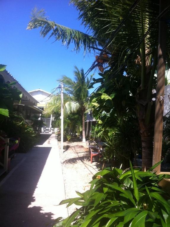 Cooper'S Inn Utila Phòng bức ảnh